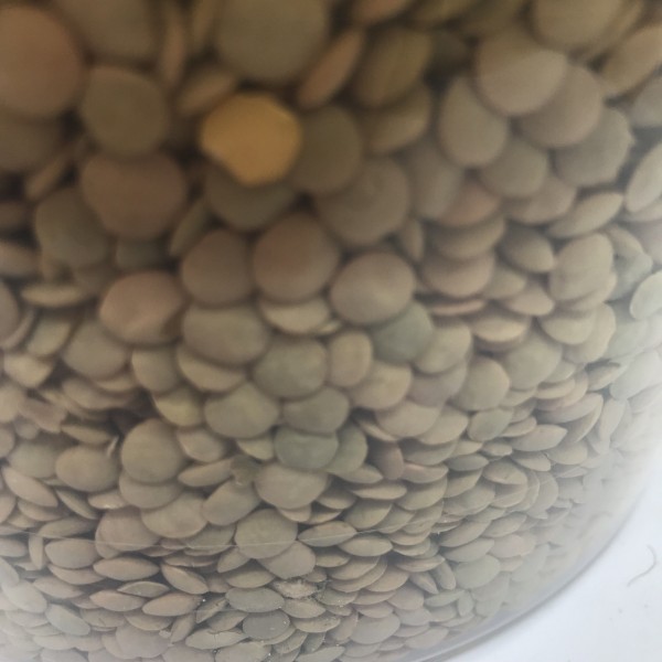 Lenteja Castellana 2kg
